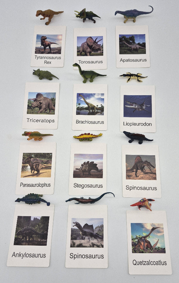 Set of dinosaur figurines and cards with images and names on a gray background