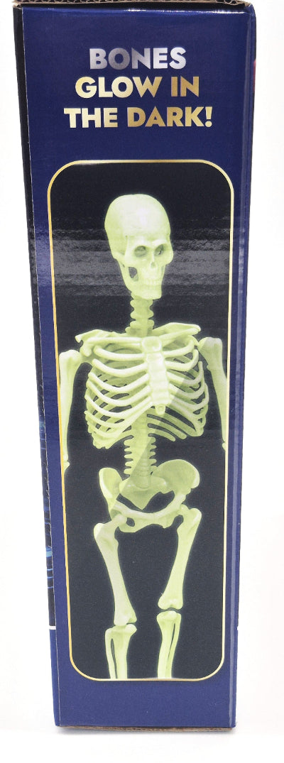 Glow-in-the-dark skeleton toy in packaging with text 'Bones Glow in the Dark!'.