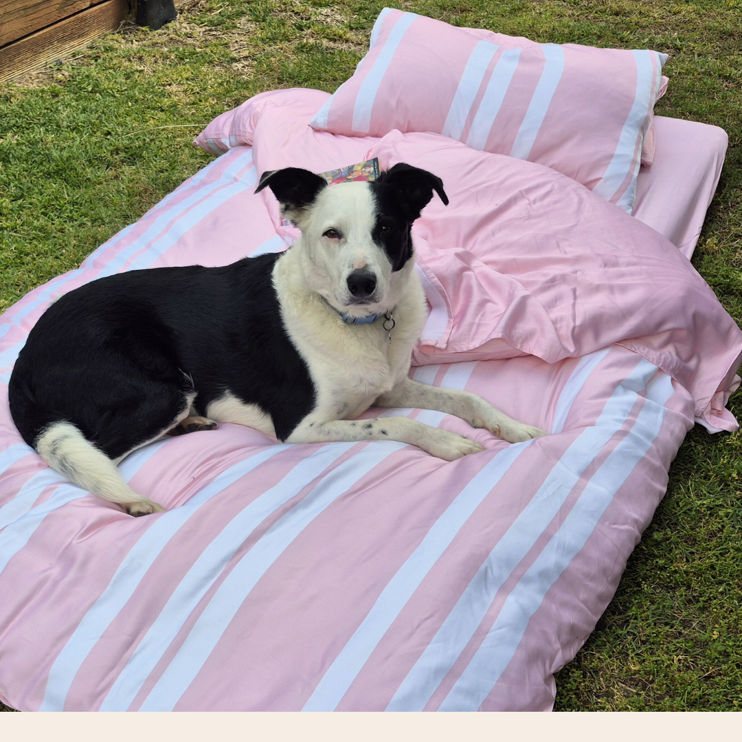 Striped Rose Quartz Pink Pillowcase