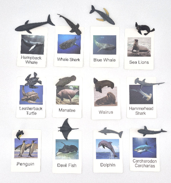 Set of animal figures with corresponding labels on a white background