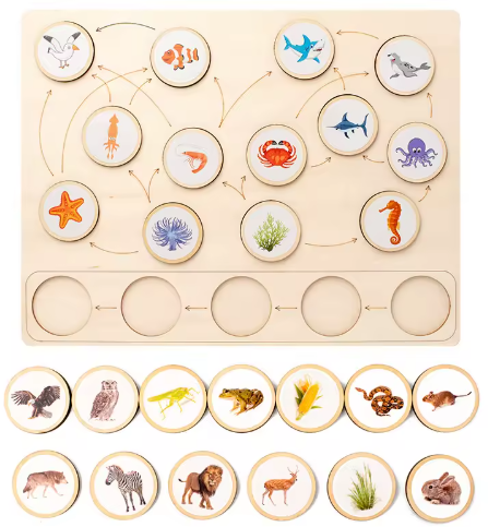Land & Sea Food Chain Puzzle: Educational STEM Learning