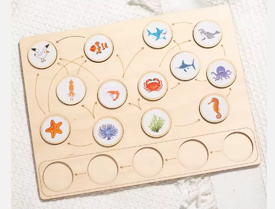Land & Sea Food Chain Puzzle: Educational STEM Learning