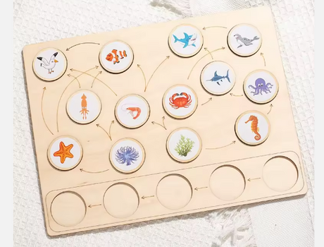 Land & Sea Food Chain Puzzle: Educational STEM Learning