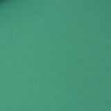 Solid forest green colour swatch