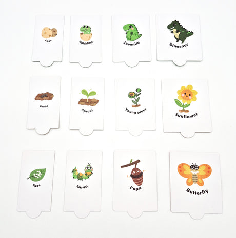 Wooden Life Cycle Puzzle - Growth Process Learning Toy
