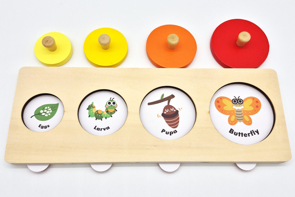 Wooden Life Cycle Puzzle - Growth Process Learning Toy