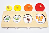 Wooden Life Cycle Puzzle - Growth Process Learning Toy