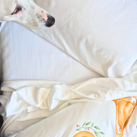 Snowy White Fitted Sheet Set