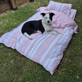 Dog lying on a pink striped bed outdoors