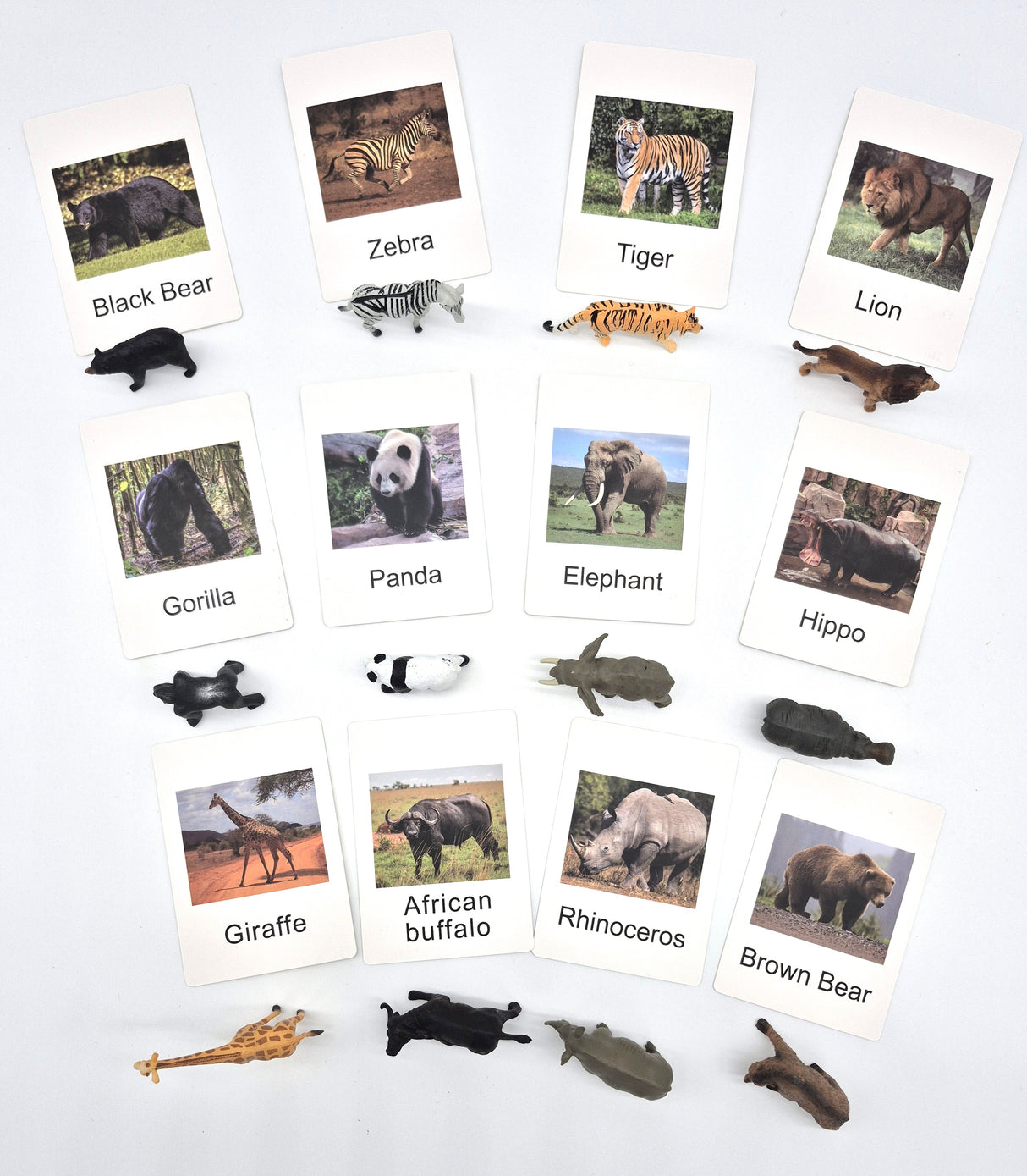 Wild Animal Adventure Set: Explore the Animal Kingdom Down Under!