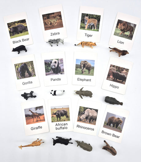 Wild Animal Adventure Set: Explore the Animal Kingdom Down Under!