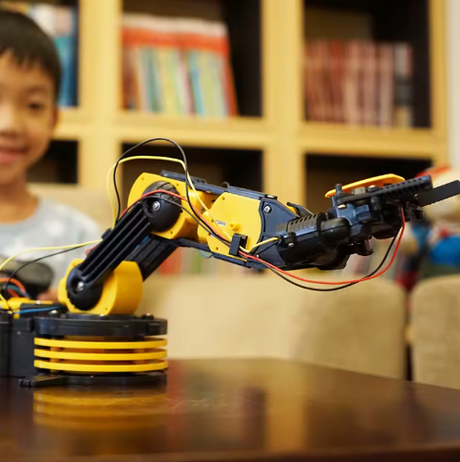 Wired Control Robot Arm DIY Kit - STEM Educational Toy for Kids