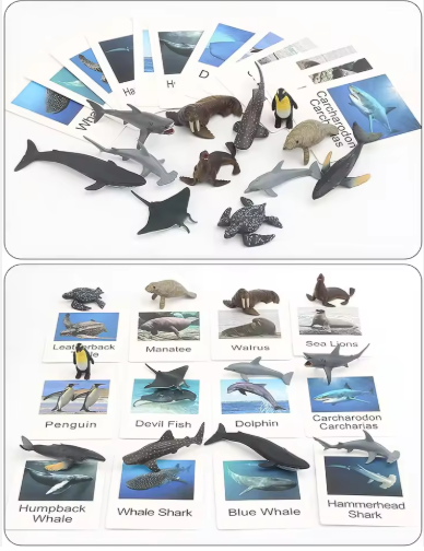 Ocean Explorers Set: Discover the Wonders of Marine Life!